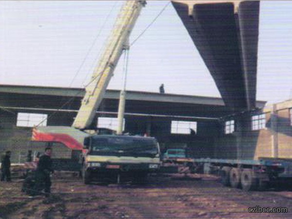 通辽市开发区双跨24米双坡T板